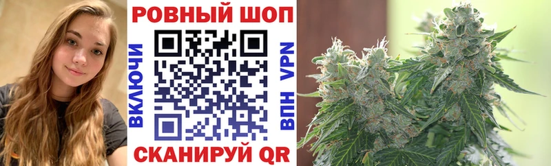 Магазин наркотиков Брянск A-PVP  АМФ  Псилоцибиновые грибы  Конопля  КОКАИН  Мефедрон  ГАШИШ 