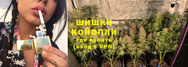 стафф Богородицк