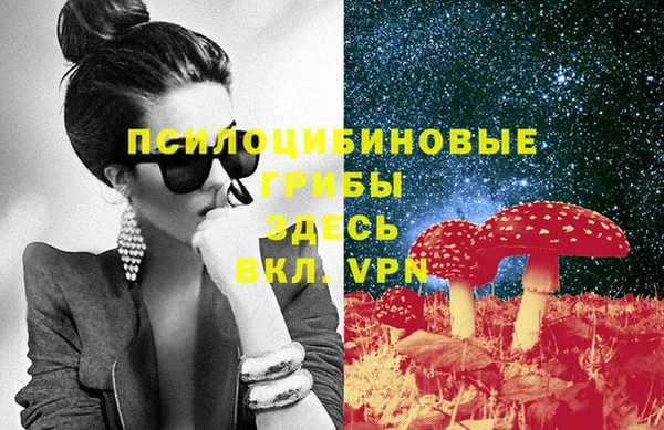 стафф Богородицк