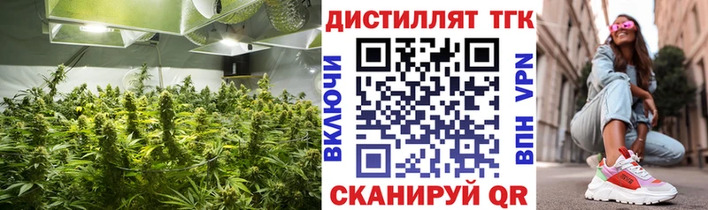 ТГК концентрат  Брянск 