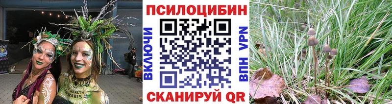 купить  сайты  Брянск  Галлюциногенные грибы GOLDEN TEACHER 