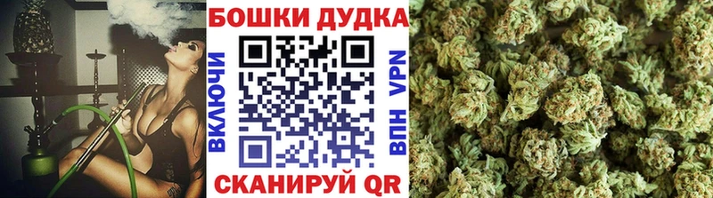МАРИХУАНА сатива Брянск